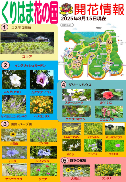 横須賀くりはま花の国・8/15～開花情報
